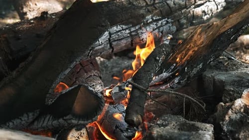 Holzfeuer (4K)
