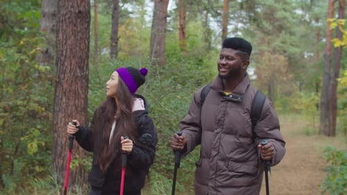 Couple Hiking With Trekking Poles in Forest
