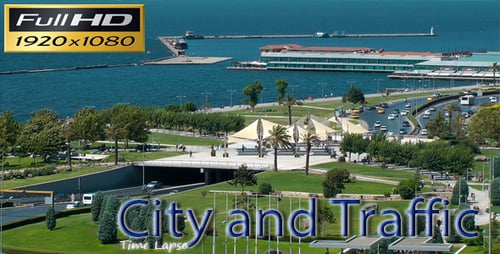 City and the Traffic