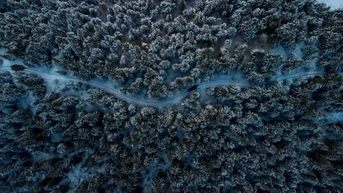 Drohne schwebt über der Straße in einem gefrorenen Kiefernwald