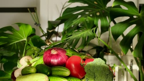 Background of vegetables rotating. Salad, Healthy vegan food close up