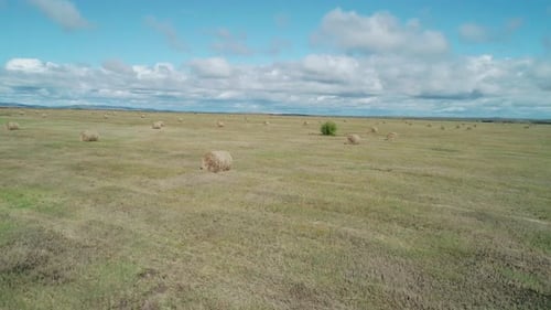 Aerial Low Altitude View of a Green Meadow with Hay Bales