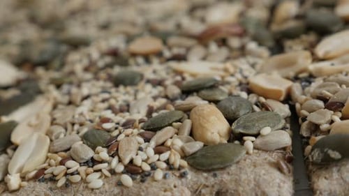 Close-up of whole integral wheat and other cereals bread shallow DOF 4K 2160p 30fps UltraHD footag