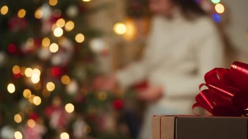 Christmas Gift with Tree in Home Setting