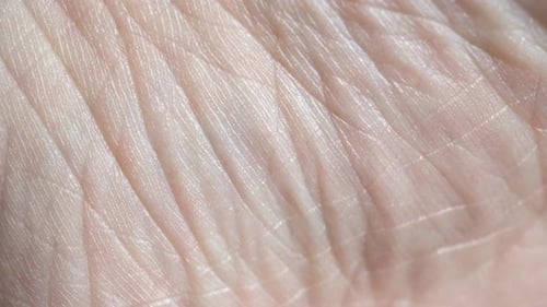 Human Skin Macro Background