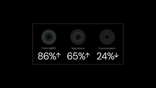 Clean Infographic Elements and Data Visualizations