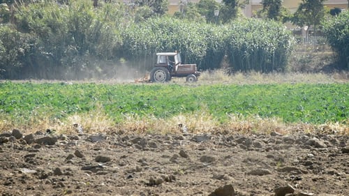 Tractor Plowing Field