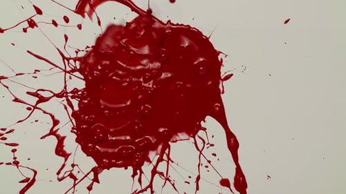 Abstract Red Liquid Splatter on White Surface