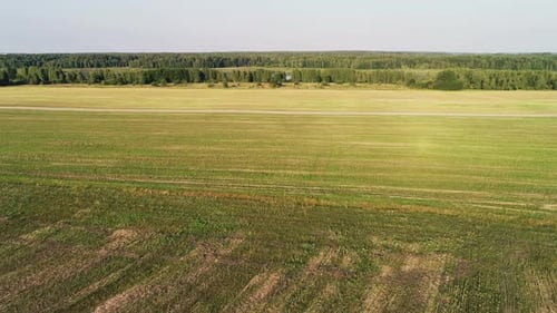 Wheat Field Aerial Landscape