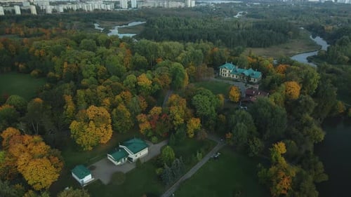 Flight over the autumn park. Trees with yellow autumn leaves are visible. Aerial photography.
