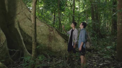 Tour Guide Explaining About Forest To Tourist