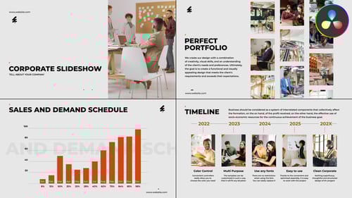 Clean Corporate Annual Report for DaVinci Resolve