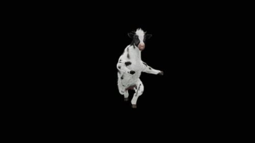 Funny Black and White Spotted Calf Dancing 3D Animation
