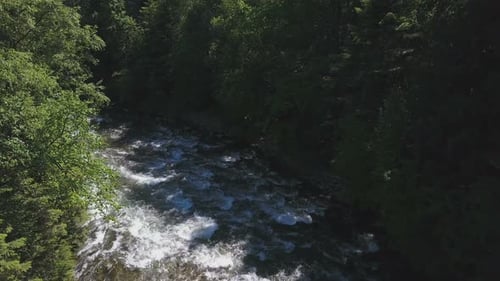 Aerial View of Rushing River in Forest