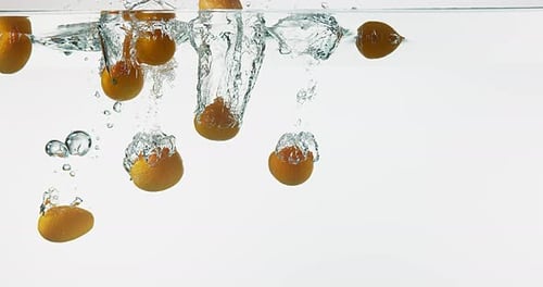Kumquat, fortunella margarita, Fruits falling into Water against White Background, Slow motion 4K