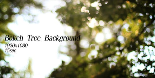 Bokeh Tree Background 4