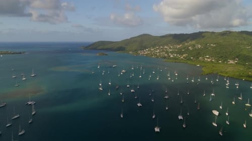Many boats moored over marina harbor, Le Marin