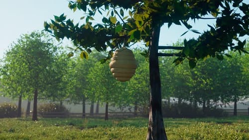Bienenstock auf dem Baum. Bienenarbeiter sammeln Pollen und stellen goldenen Honig her.