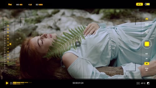 Camera Viewfinder HUD