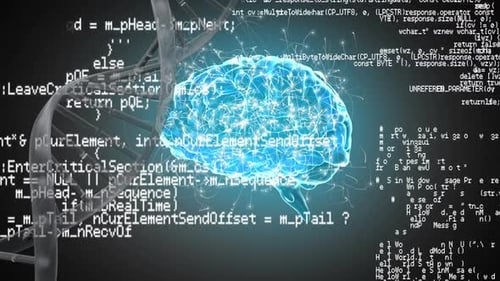 Human brain, DNA helix and interface codes