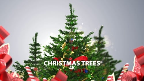 Weihnachtsbäume
