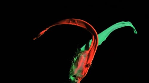 Vivid Red and Green Paint Splash on Black