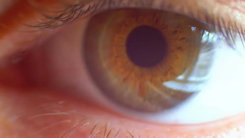 Extreme Close-up Male Human Eye Blinking