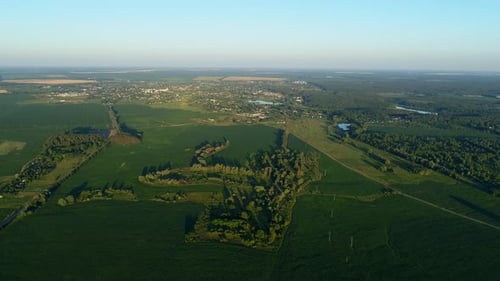 Aerial View Beautiful Landscape in Summer Drone Flying Corn Field in Sunny Day