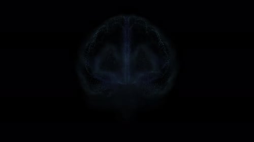 Abstract Glittering Brain MRI with Depth of Field