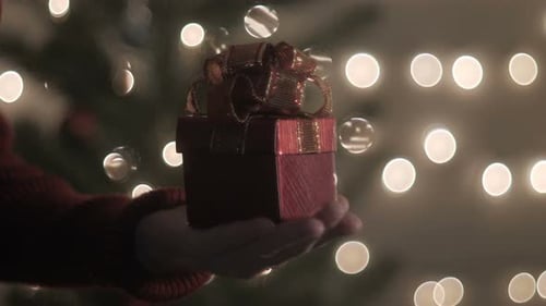 Hands Presenting Gift with Christmas Tree Background