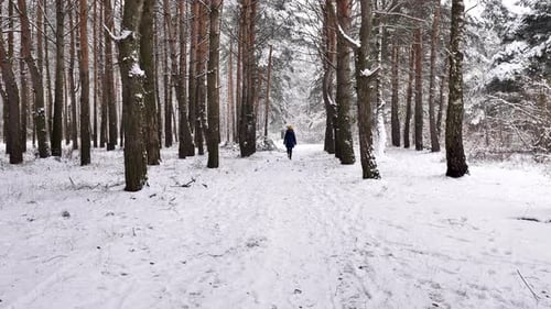 Girl enjoys in the winter snowy forest