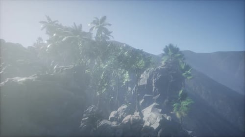 Misty Tropical Mountain Landscape with Palm Trees
