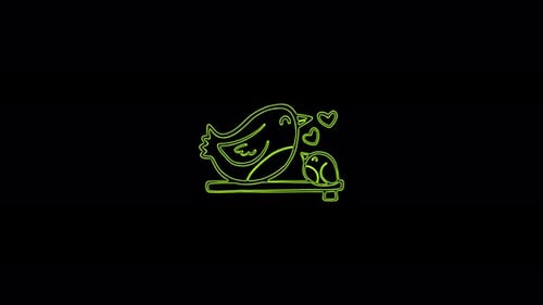 Sketch Neon Style Birds with Heart Animation