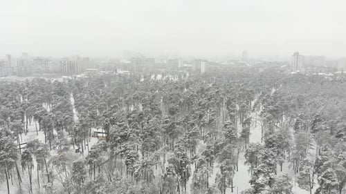 Flight To the Lifeless Winter City