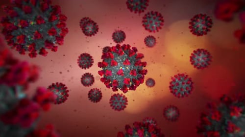Animated Microscopic View of Coronavirus Particles Floating