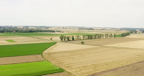 Aerial View of Agricultural Fields on a Sunny Day