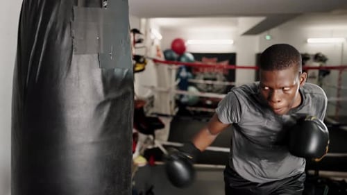 Young Concentrated African Male Boxer Hitting Punching Bag in Boxing Club