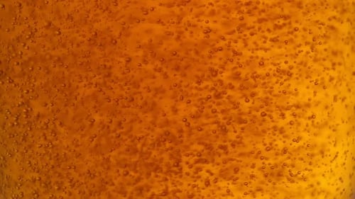 Bubbly Beer Being Poured, Close Up