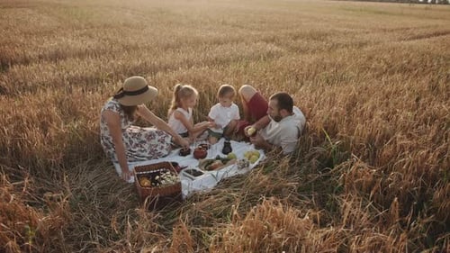 Family Picnic in Wheat Field at Golden Hour