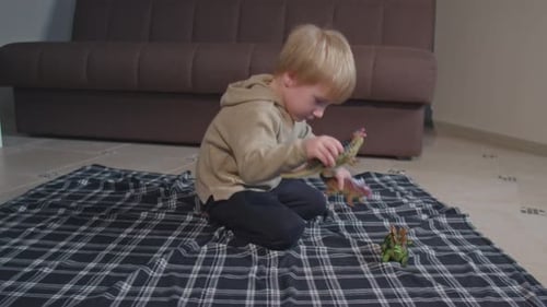 Child Playing with Toy Dinosaurs on Floor