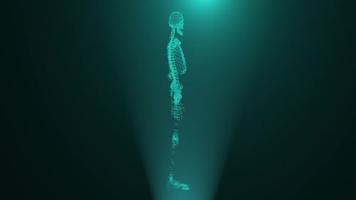 Futuristic Holographic Human Skeleton Rotation Medical Science Animation