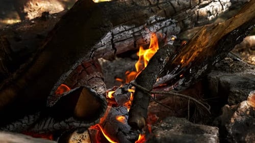 Fire (4K)