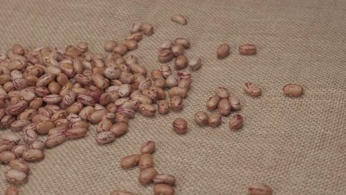 Pile of Beautiful Pinto Beans on Burlap Material