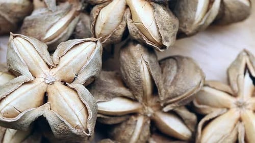 Close up of Star Shaped Sacha Inchi Nuts