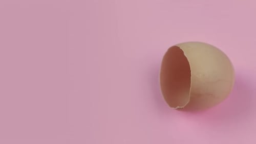 Eierschale auf rosa Hintergrund