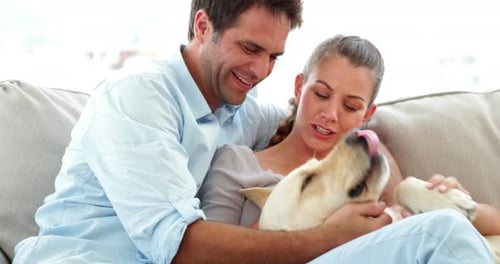 Happy Couple Playfully Cuddles Dog on Couch