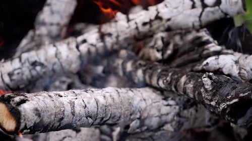 Schwelende Holzscheite bei leichtem Feuer