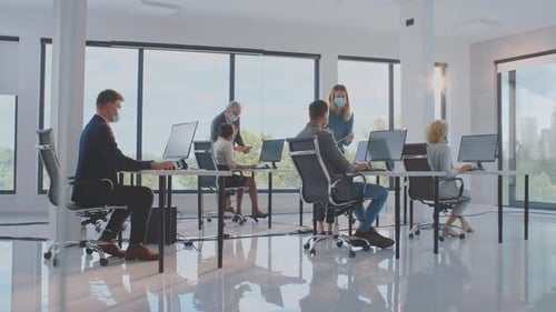 Employees Working at Computers in a Modern Office