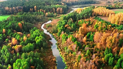 Forest and river at sunset in autumn, aerial view