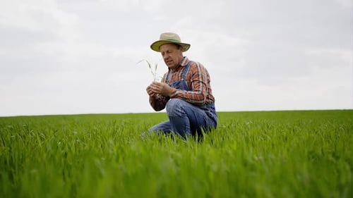 Farmer in Field Planting